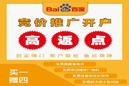 百度SEO与广告结合的多元化推广策略——多行业成功案例